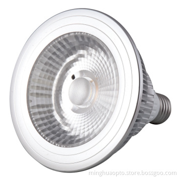 15W COB LED PAR38
